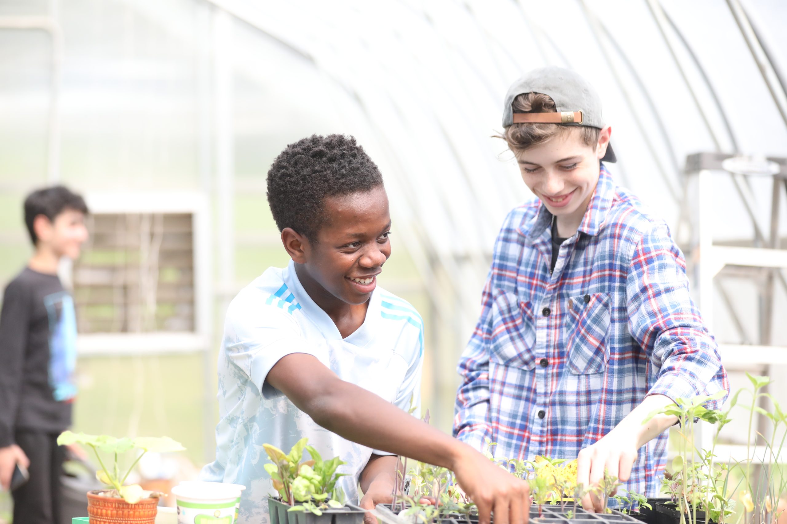 Two male students happily work together in the Oakwood greenhouse