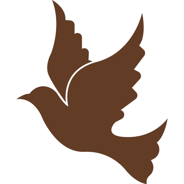A vector drawing of a dove