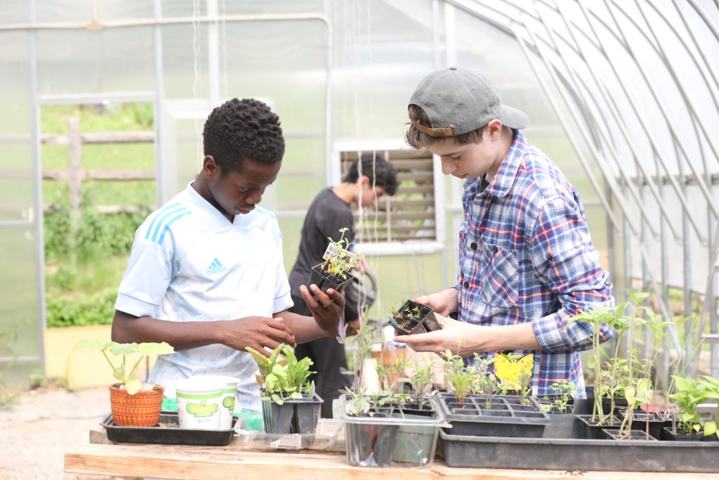 oakwood3T4A1136 Two Oakwood Friends School upper school students work in the greenhouse